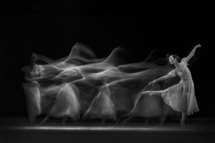 Picture of WAVES OF BALERINA