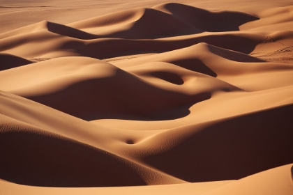 Picture of CURVES
