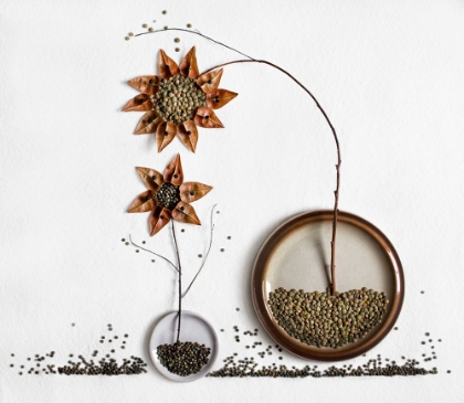Picture of HERBARIUM...2