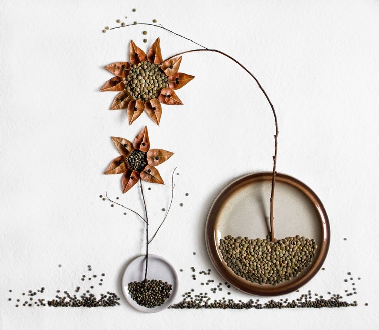 Picture of HERBARIUM...2