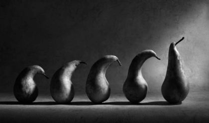 Picture of THE EVOLUTION