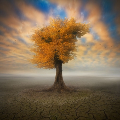 Picture of LONESOME