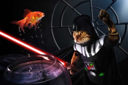 Picture of DARTH SUSHI