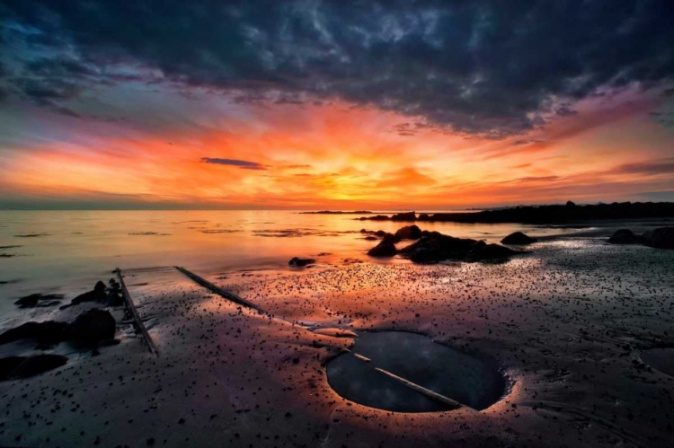 Picture of INTO THE SUNSET