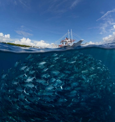 Picture of GO DIVING?