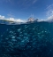 Picture of GO DIVING?