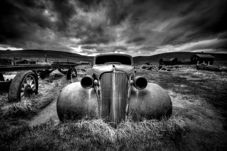 Picture of TOO OLD TO DRIVE