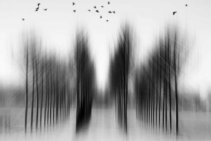 Picture of TREE ARCHITECTURE