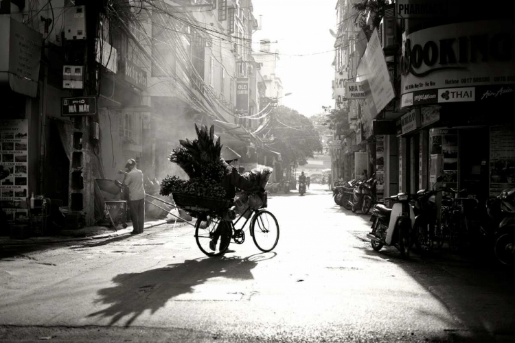 Picture of EARLY MORNING