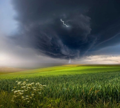 Picture of JUNE STORM
