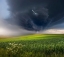 Picture of JUNE STORM
