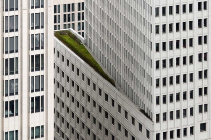 Picture of THE GREEN ELEMENT