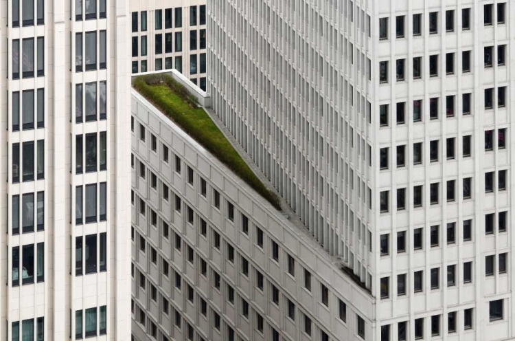 Picture of THE GREEN ELEMENT