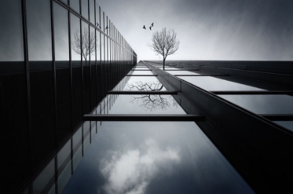 Picture of THE ETHEREAL FLYING GARDEN