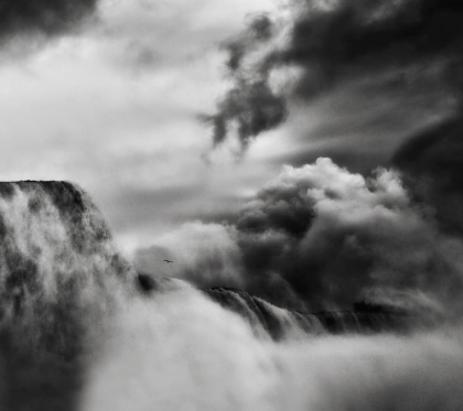 Picture of AMAZING POWER AND BEAUTY