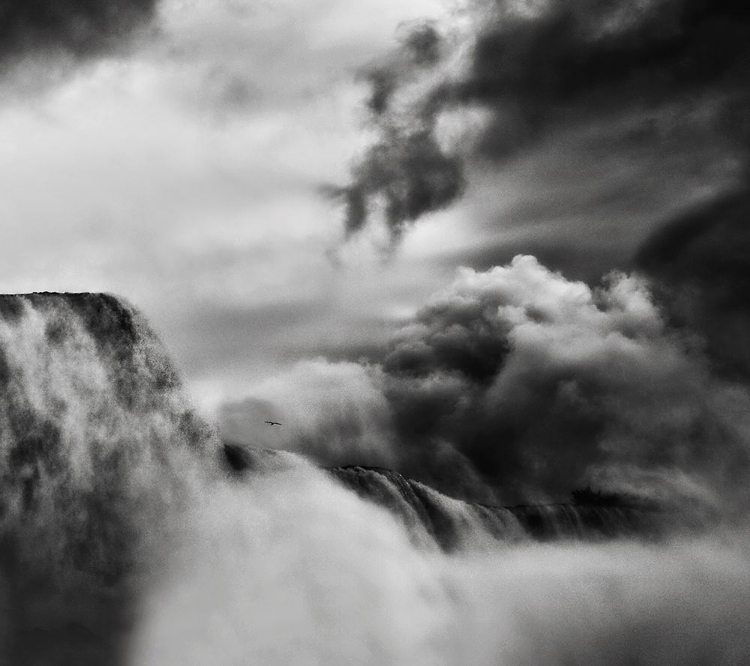 Picture of AMAZING POWER AND BEAUTY