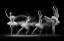 Picture of BALERINA ART WAVE