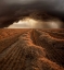Picture of UNTITLED