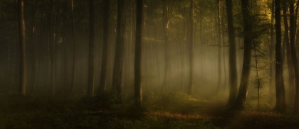 Picture of HOW CAN WORDS EXPRESS THE FEEL OF SUNLIGHT IN THE MORNING