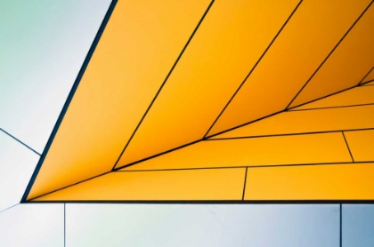 Picture of YELLOW DART