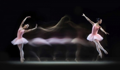 Picture of GRACEFUL BALERINA