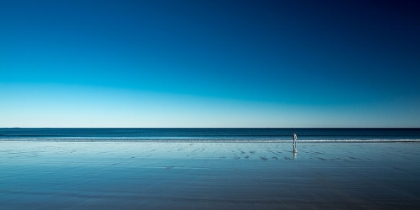 Picture of THE BLUES