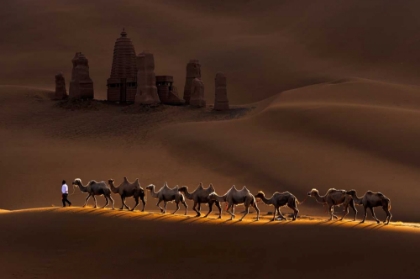 Picture of CASTLE AND CAMELS
