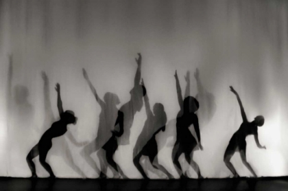 Picture of DANCE IS THE LANGUAGE OF THE SOUL ...