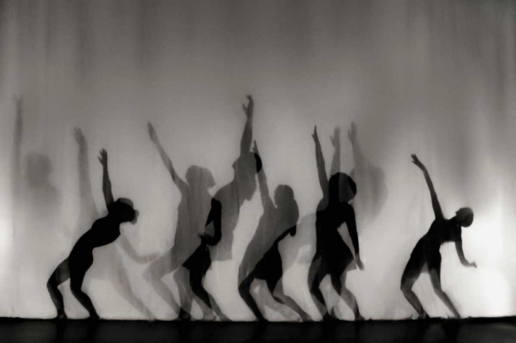 Picture of DANCE IS THE LANGUAGE OF THE SOUL ...