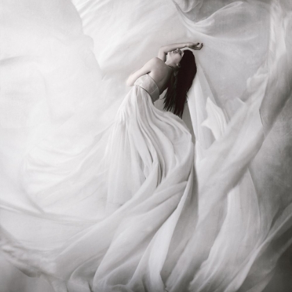 Picture of MOONDANCE