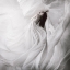 Picture of MOONDANCE
