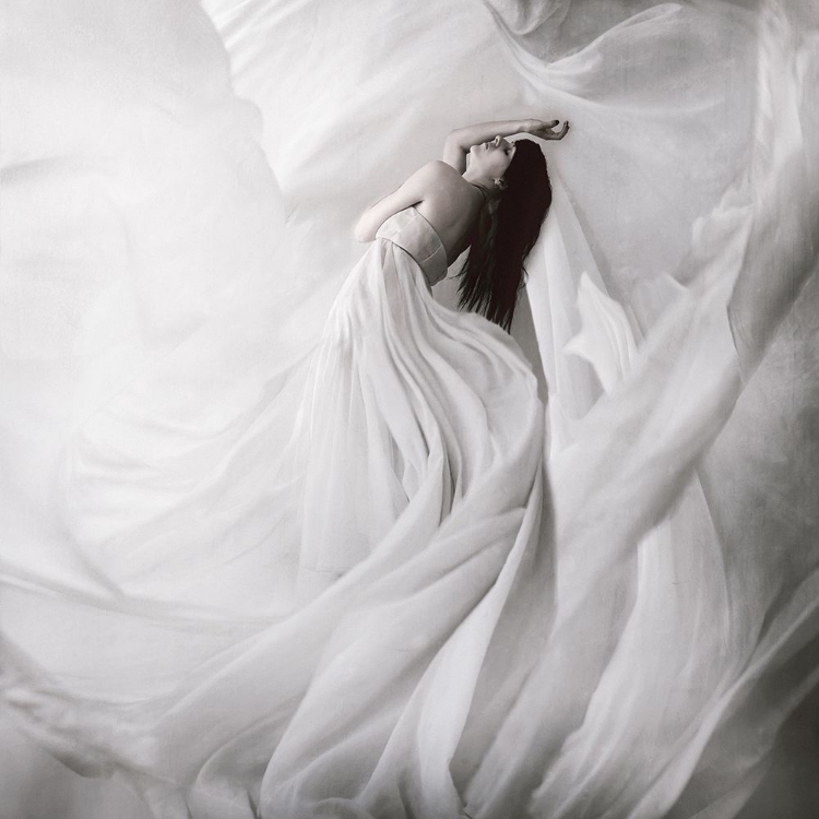 Picture of MOONDANCE