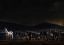 Picture of AN EVENING IN KENYA