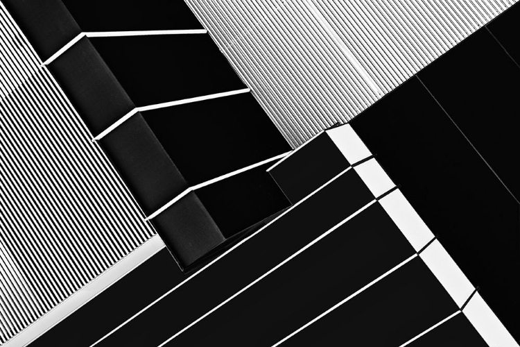 Picture of FRAGILE SYMMETRY
