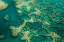 Picture of GONDWANA