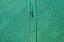 Picture of SWIMMER