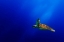 Picture of FLYING