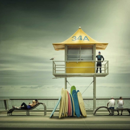 Picture of THE LIFE GUARD