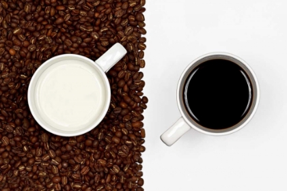 Picture of YIN / YANG
