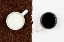 Picture of YIN / YANG