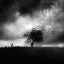Picture of PRINTEMPS PERDU