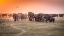 Picture of AMBOSELI MORNING STROLL TO STARBUCKS