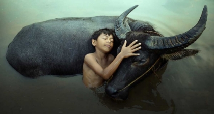 Picture of PEACEFUL