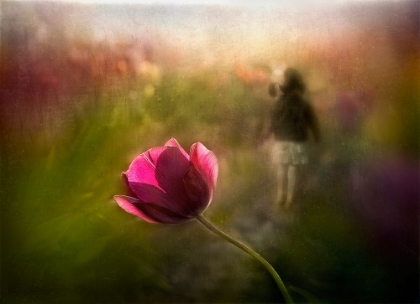 Picture of A PINK CHILDHOOD MEMORY