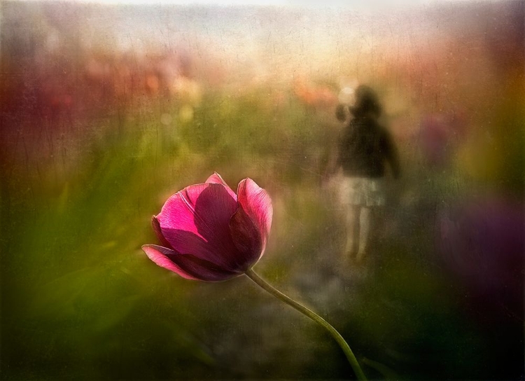 Picture of A PINK CHILDHOOD MEMORY