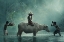 Picture of WATER BUFFALO