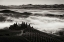 Picture of TUSCANY