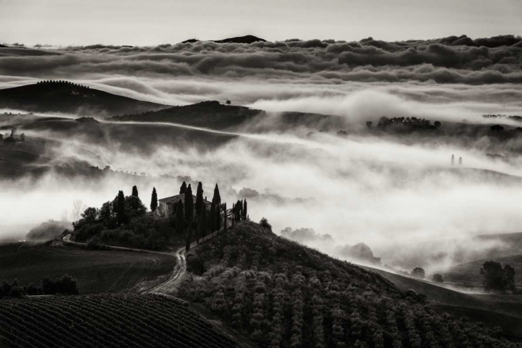 Picture of TUSCANY