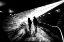 Picture of WALKING TOWARDS THE LIGHT