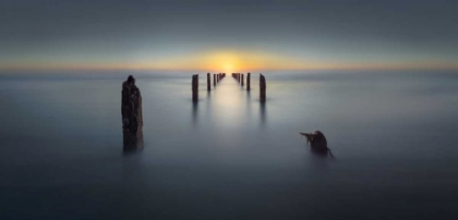 Picture of LAST LIGHT